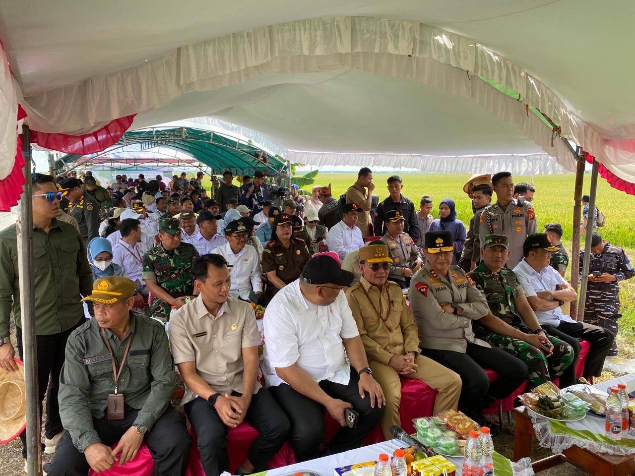 GERAKAN TANAM PADI SECARA SERENTAK DI 14 PROVINSI SENTRA UTAMA PADI
