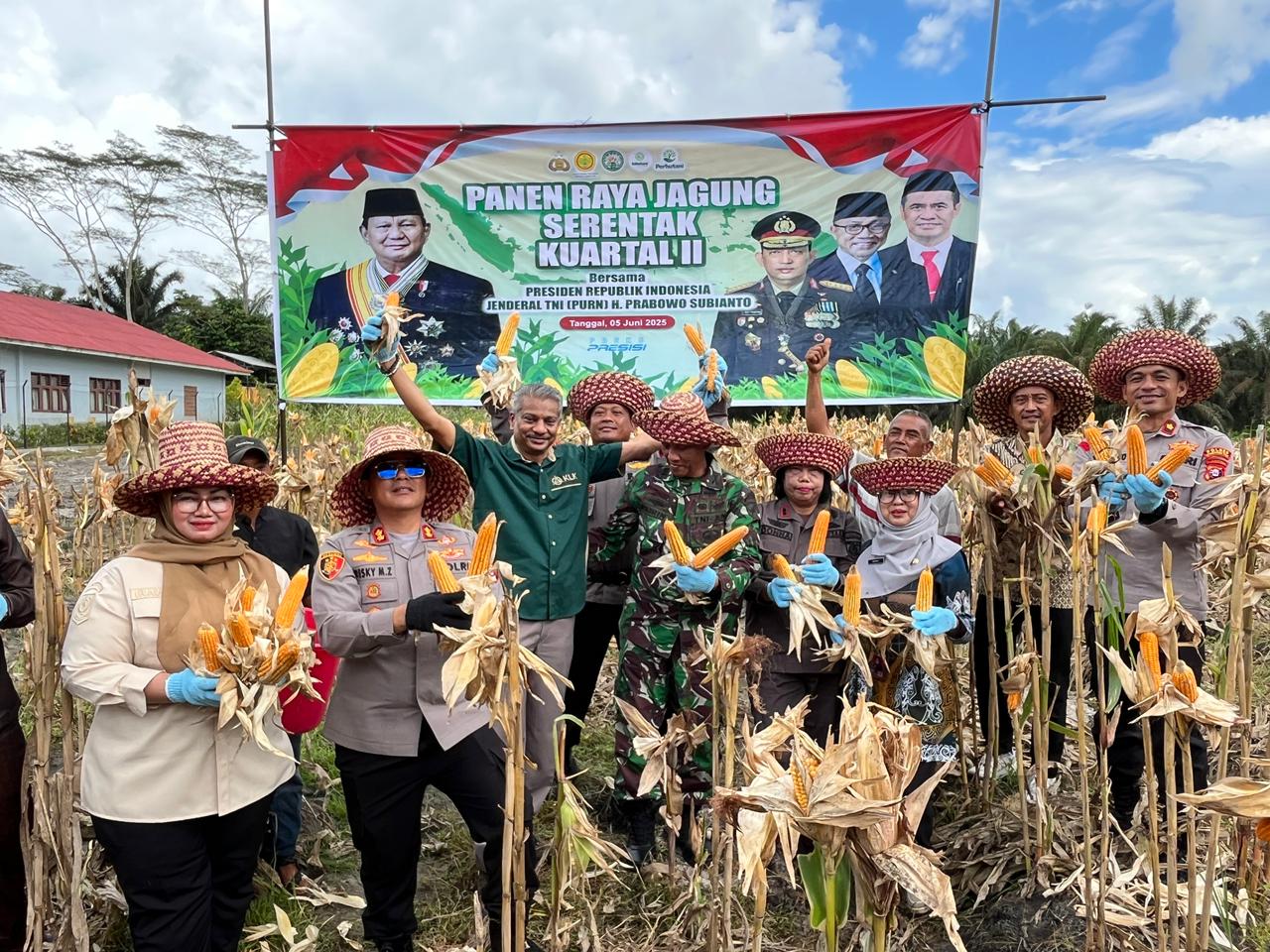 Panen Raya Jagung Serentak Kuartal II Tahun 2025