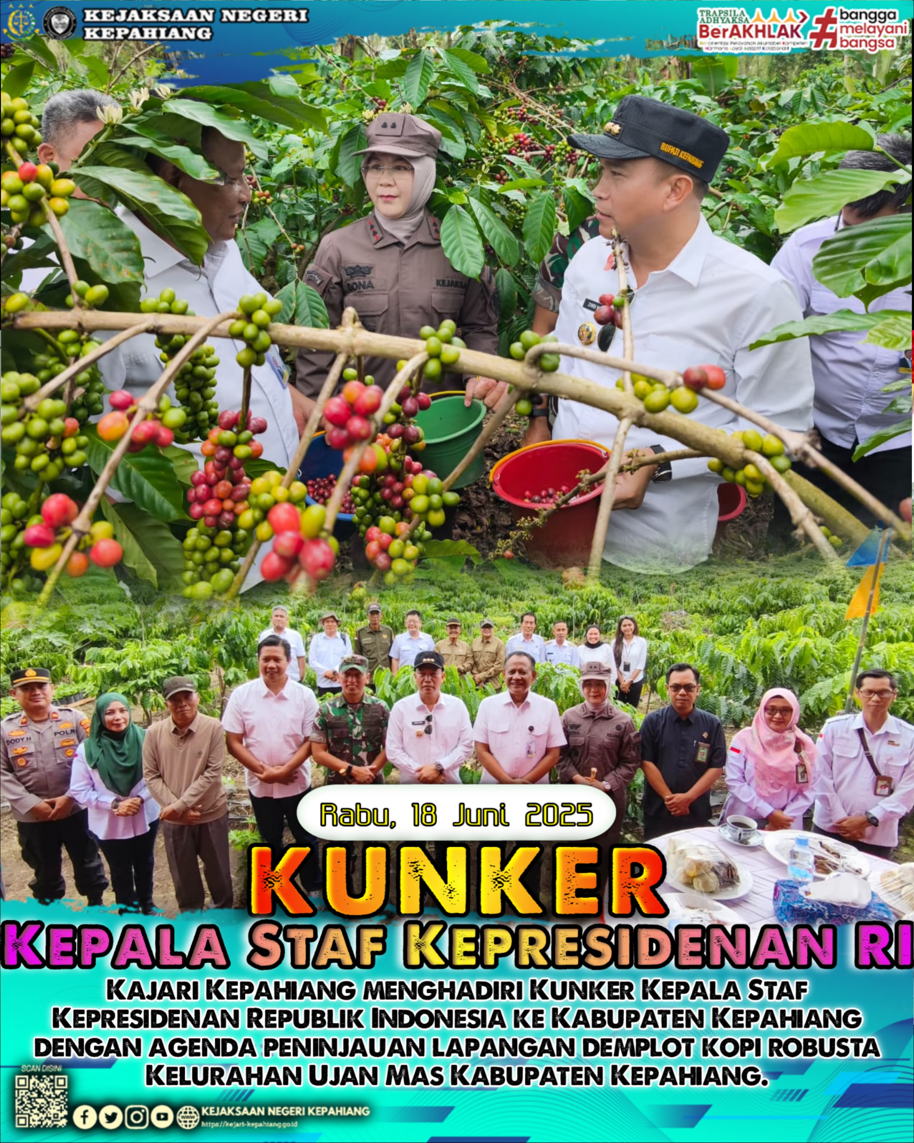 PENINJAUAN LAPANGAN DEMPLOT KOPI ROBUSTA KELURAHAN UJAN MAS KABUPATEN KEPAHIANG