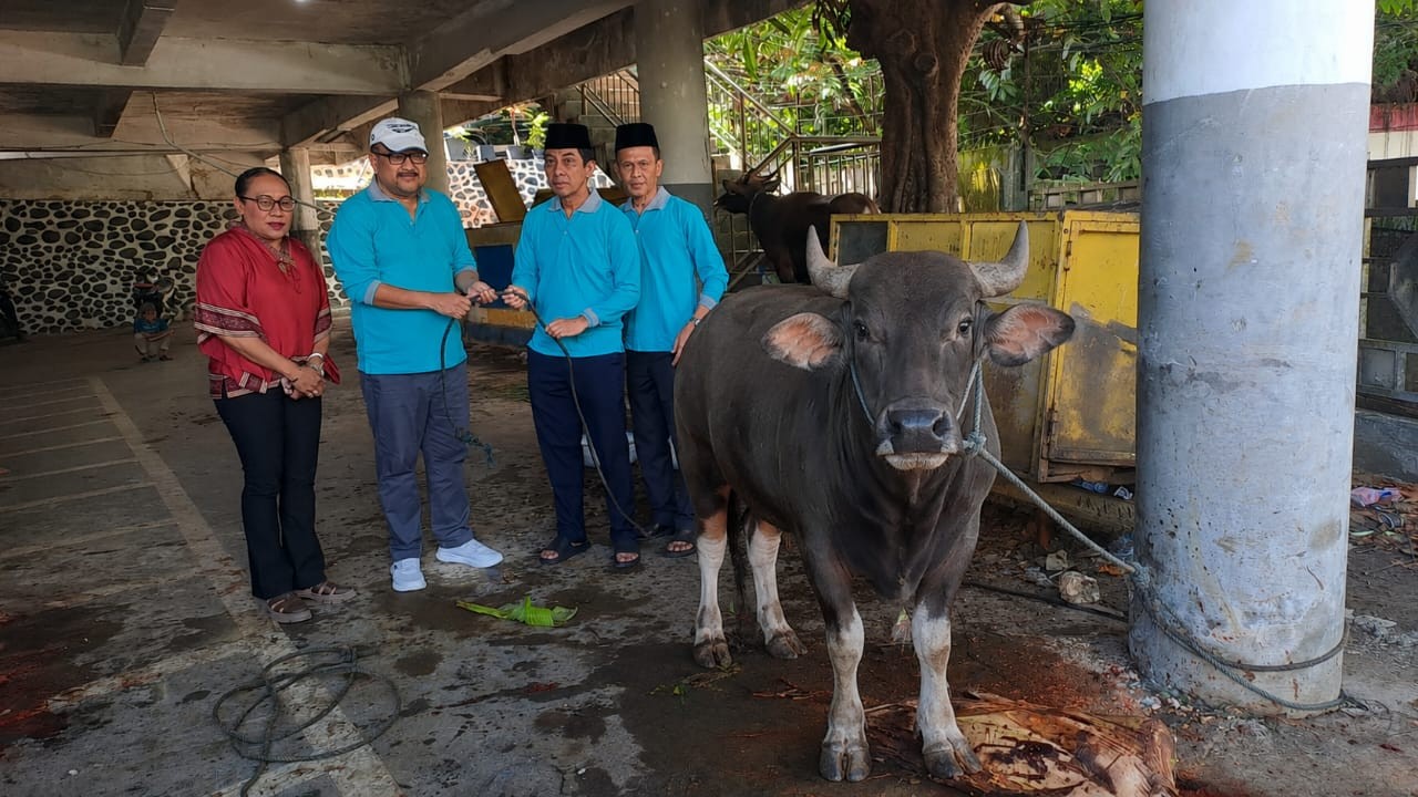 Kejaksaan Tinggi Papua menyalurkan hewan kurban sebanyak 7 ekor sapi dan 4 ekor kambing pada Hari Raya Idul Adha 1447 Hijriah